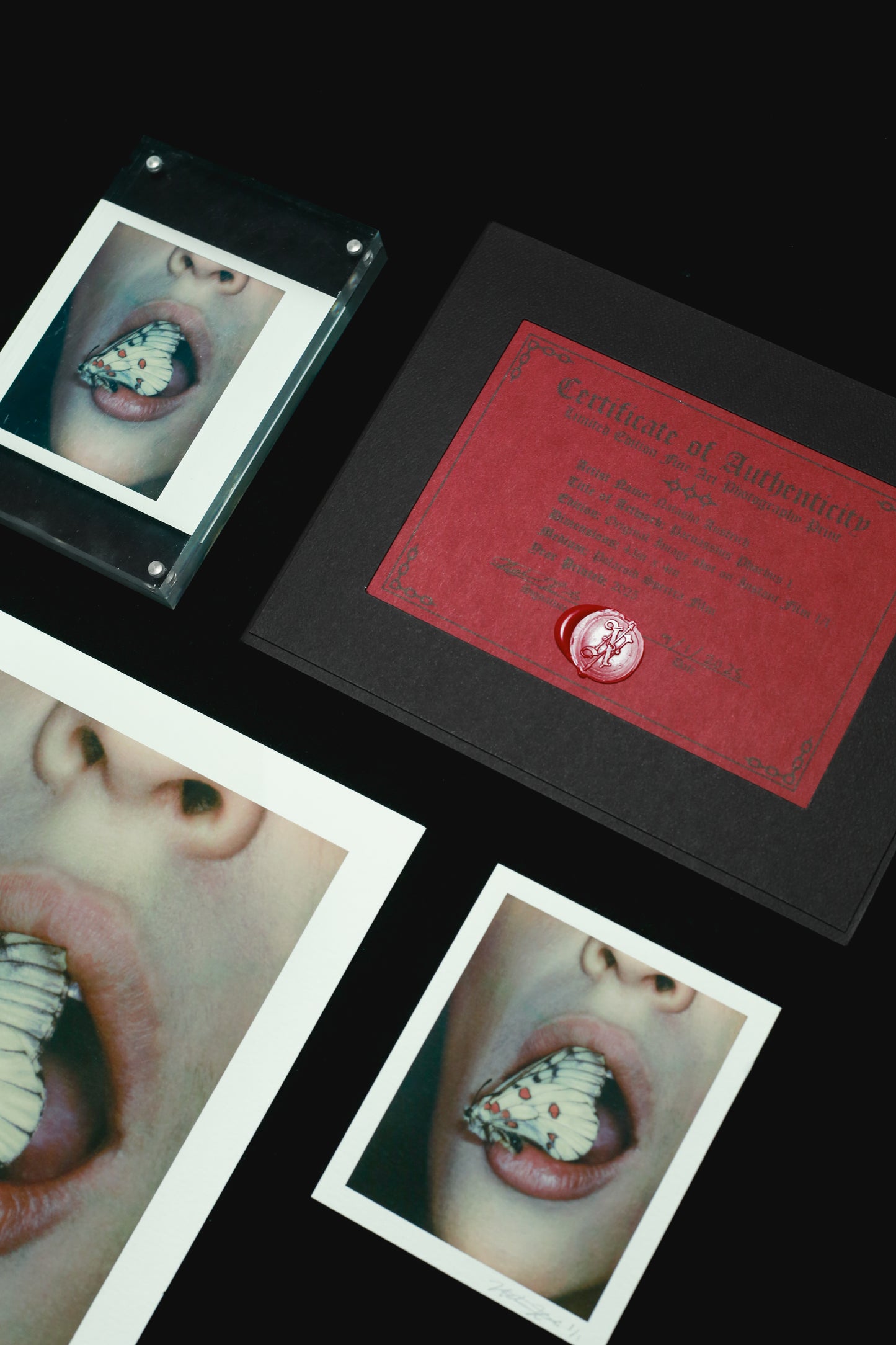 Parnassius Phoebus 1